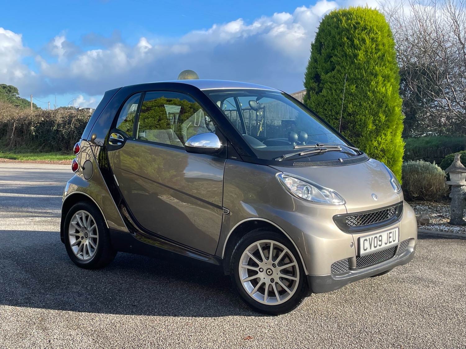 Used smart fortwo 2009 for sale - 76693147: Photo 1