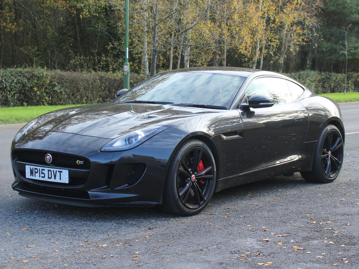 Used Jaguar F-Type 2015 for sale - 76557792: Photo 1