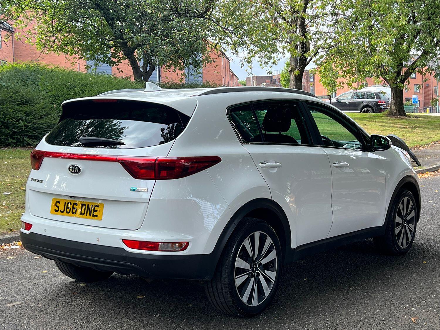 Used Kia Sportage 2016 for sale - 76618656: Photo 7