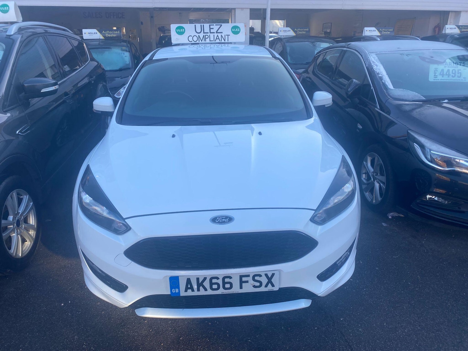 Used Ford Focus 2016 for sale - 77103543: Photo 12