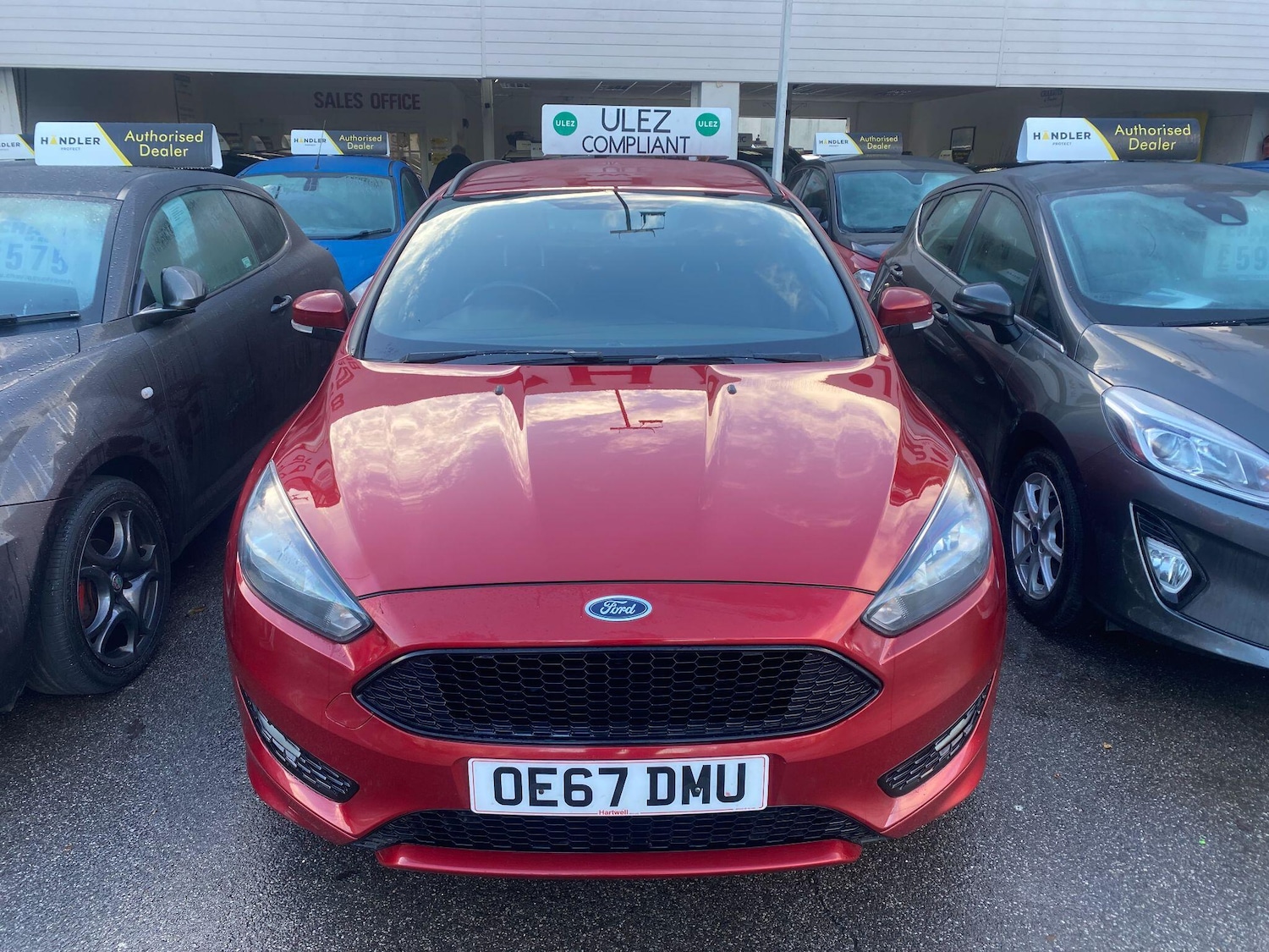 Used Ford Focus 2017 for sale - 77230621: Photo 14