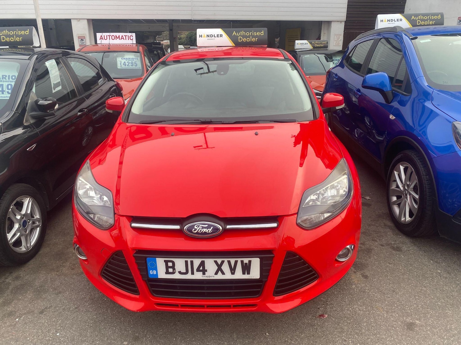 Used Ford Focus for sale - 77993146: Photo 12