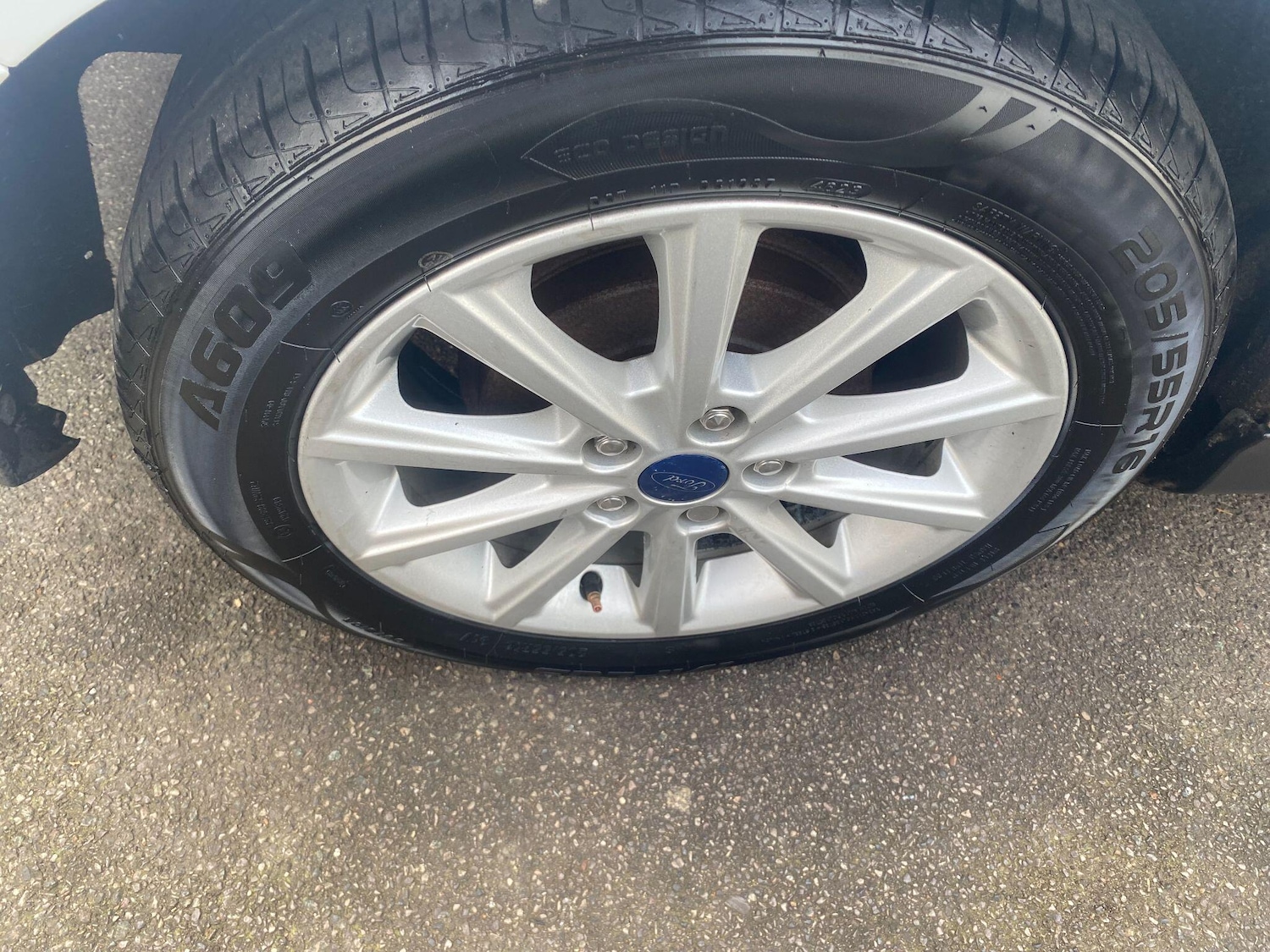 Used Ford Focus for sale - 77969834: Photo 13