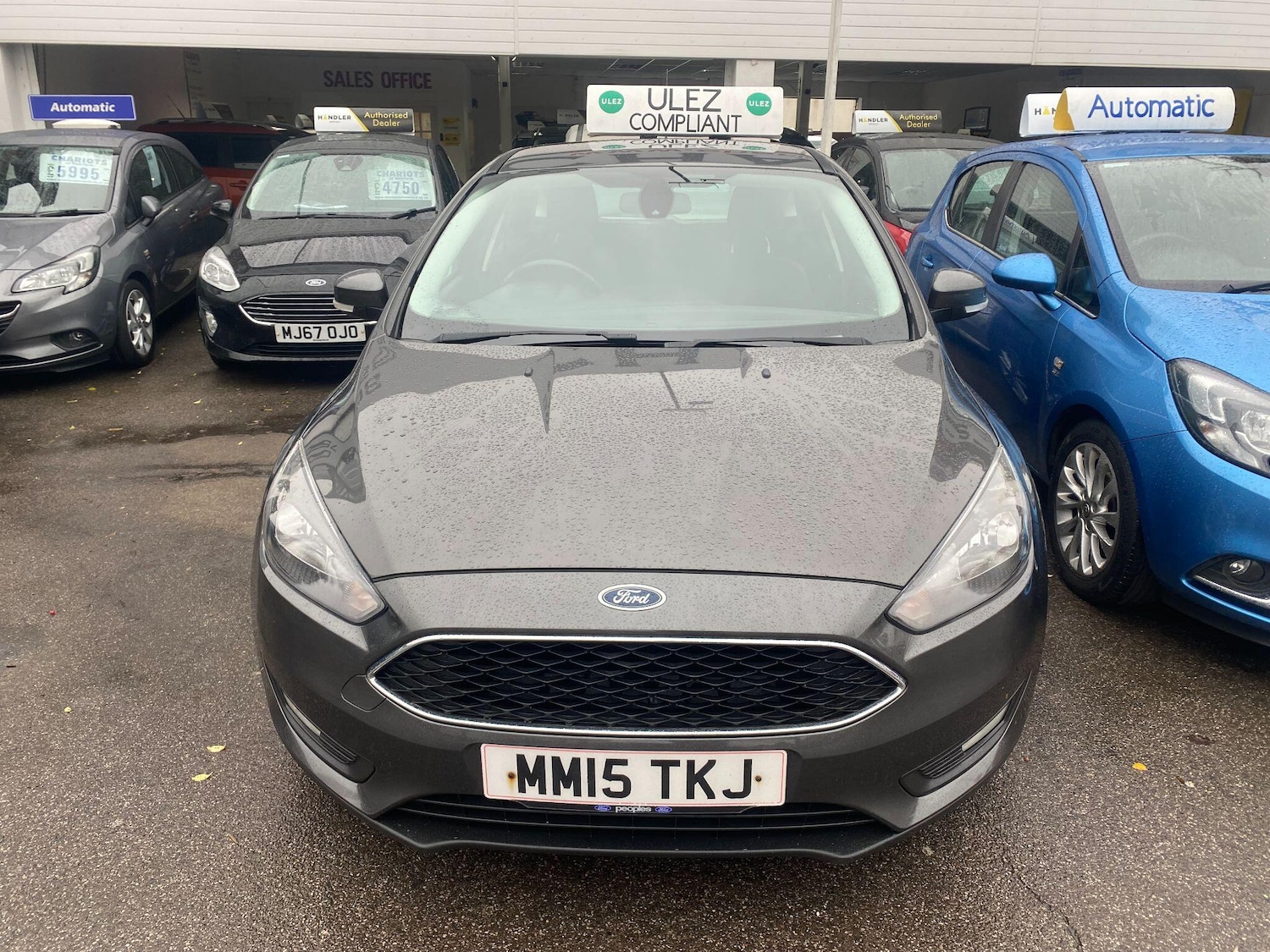 Used Ford Focus 2015 for sale - 77345286: Photo 12