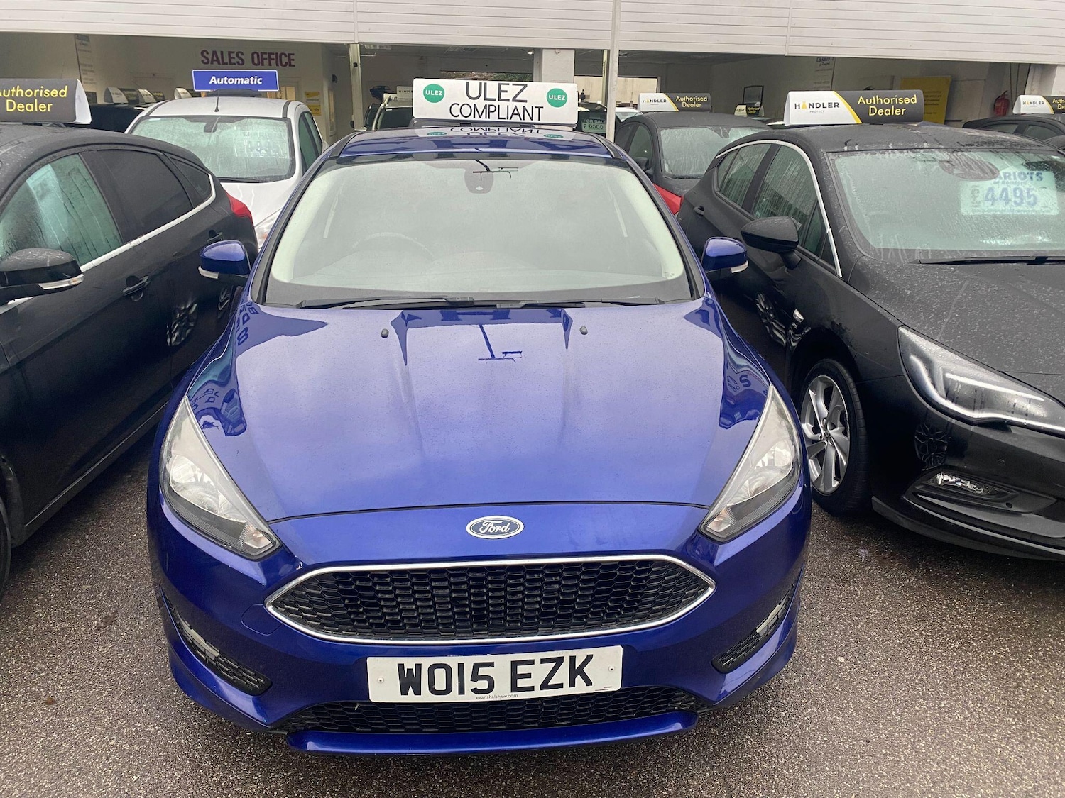 Used Ford Focus for sale - 77191810: Photo 14