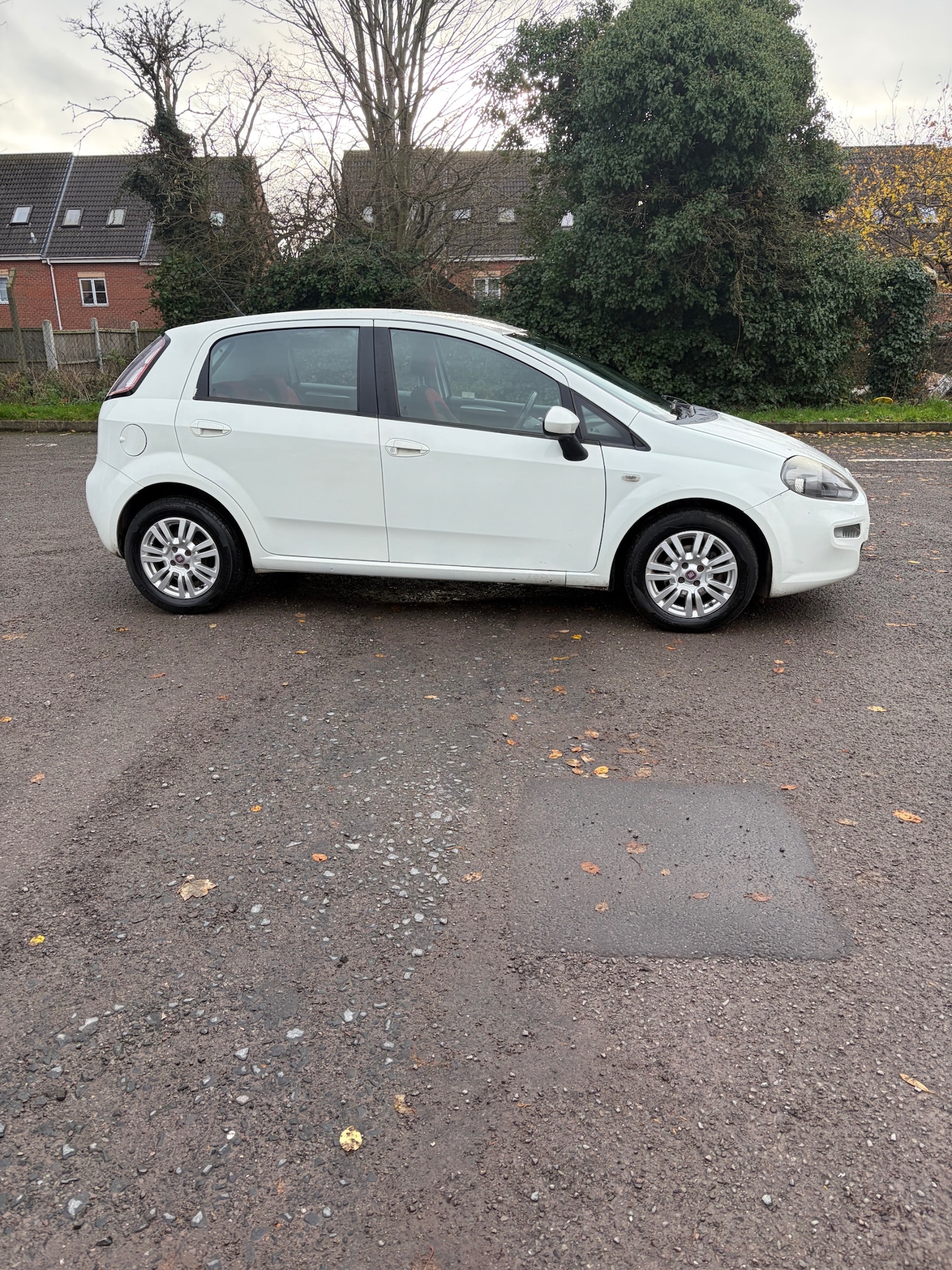 Used Fiat Punto 2012 for sale - 76905119: Photo 3