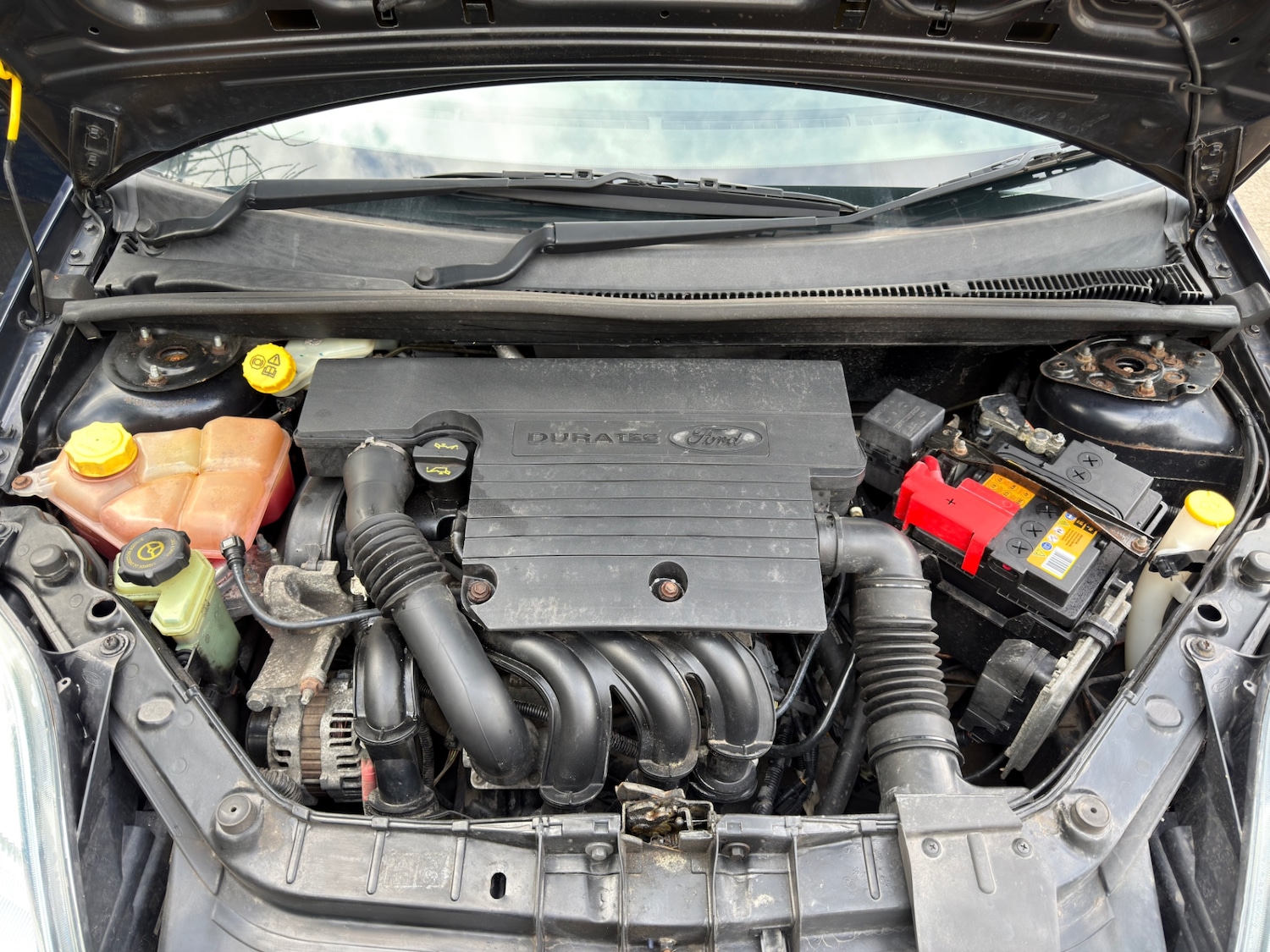 Used Ford Fiesta 2003 for sale - 78071078: Photo 15