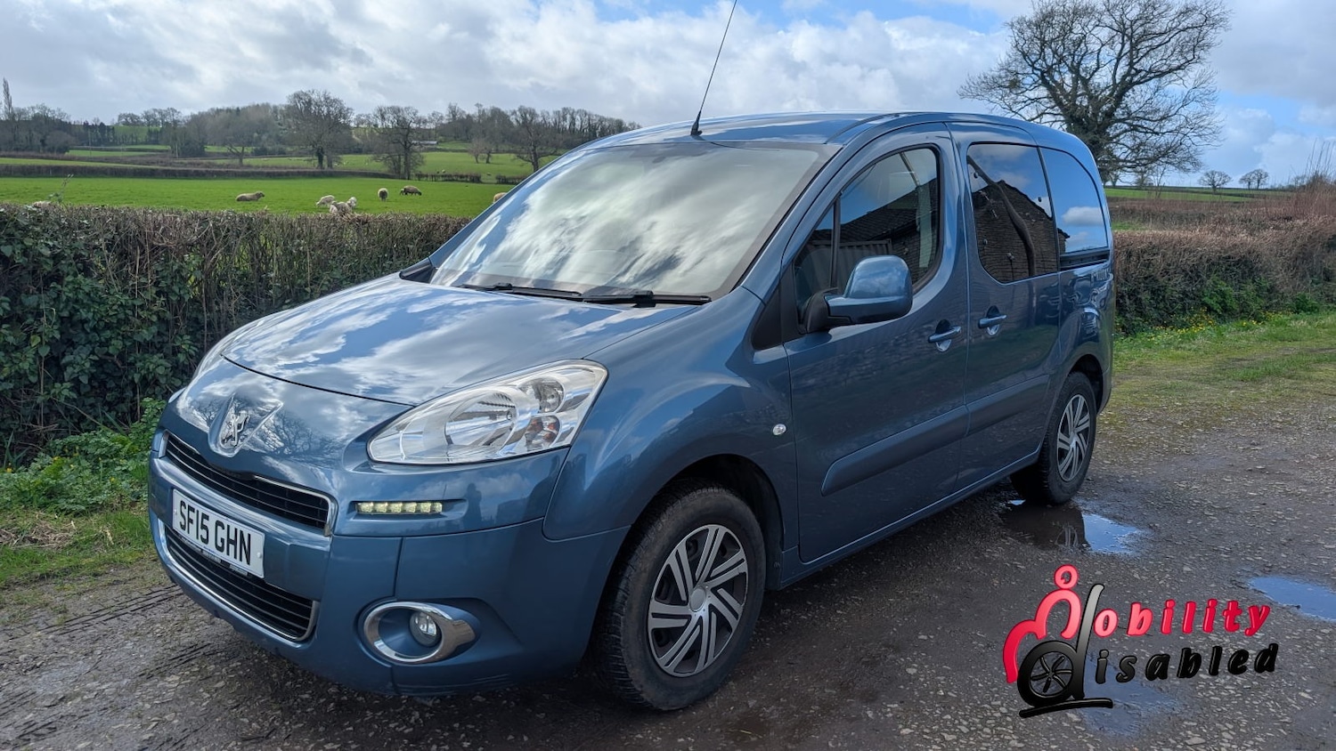 Used Peugeot Partner Tepee 2015 for sale - 77946151: Photo 34