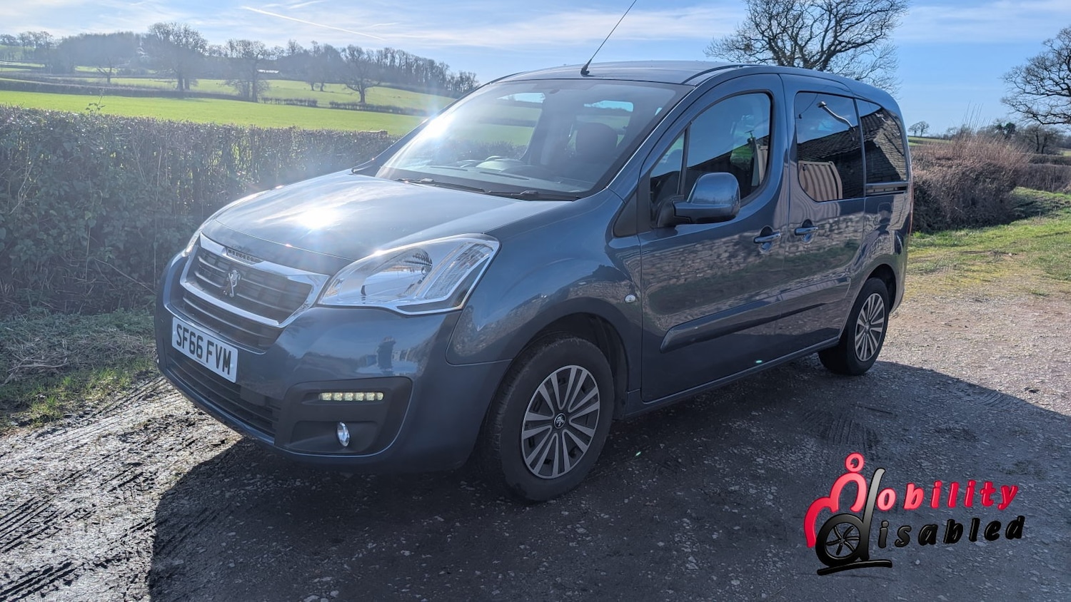 Used Peugeot Partner Tepee 2016 for sale - 77945505: Photo 20