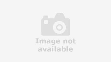 Used Ford Transit Custom 2020 for sale - 76164773: Photo 1