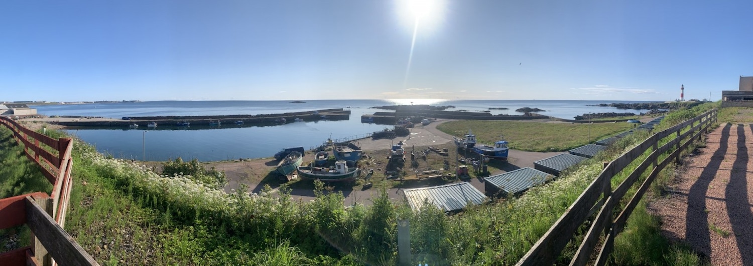 Used Fiat 500 2018 for sale - 77567463: Photo 31