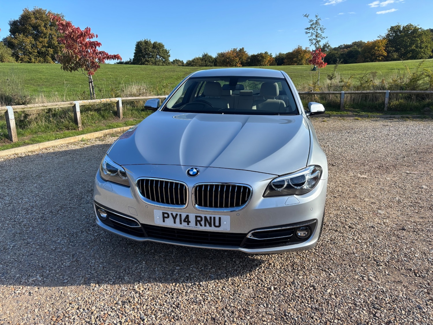 Used BMW 5 Series 2014 for sale - 76119483: Photo 7