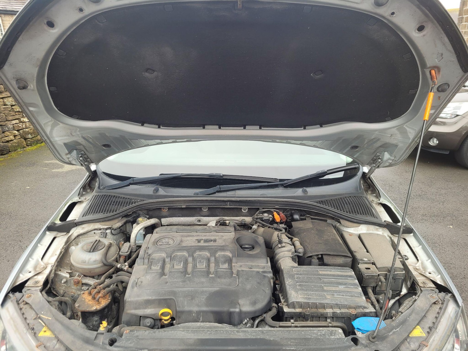 Used Skoda Octavia for sale - 77783464: Photo 45