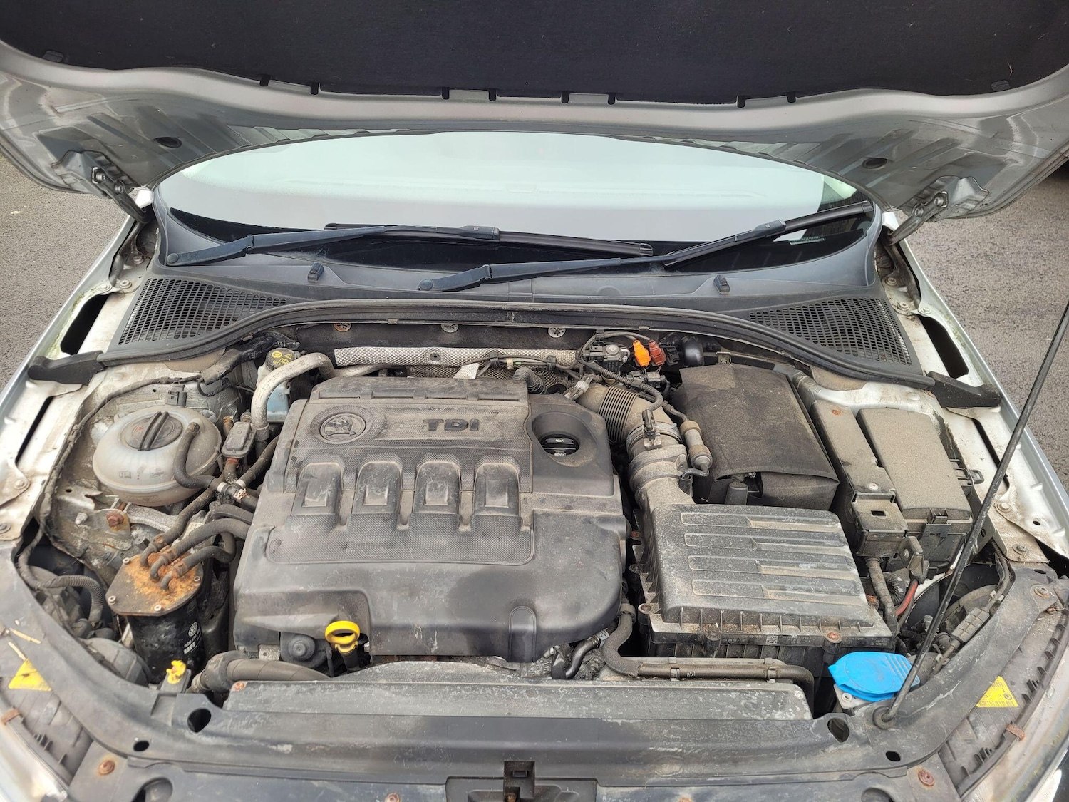 Used Skoda Octavia for sale - 77783464: Photo 46