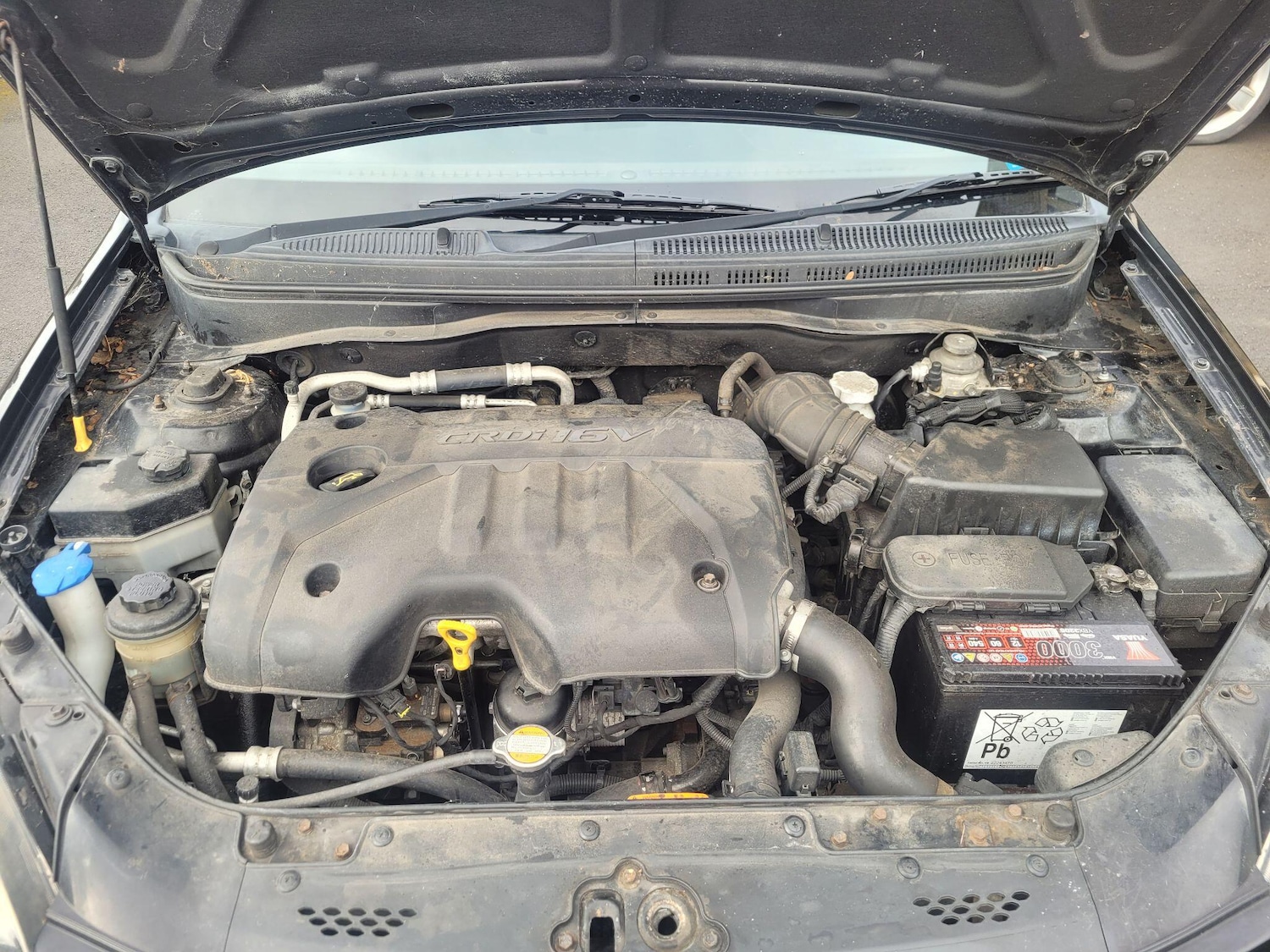 Used Kia Rio 2010 for sale - 78007137: Photo 35