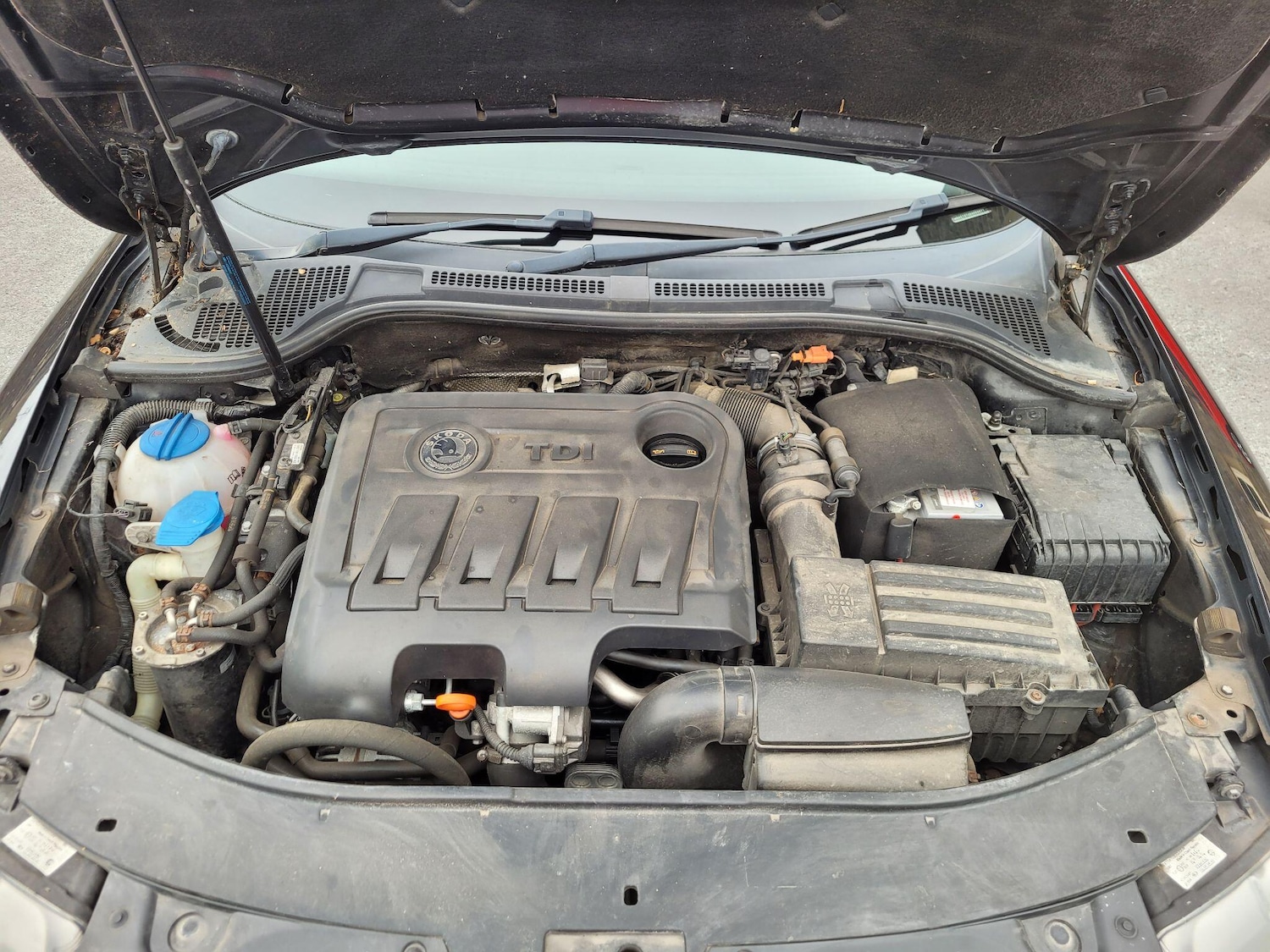 Used Skoda Superb 2011 for sale - 76283213: Photo 42