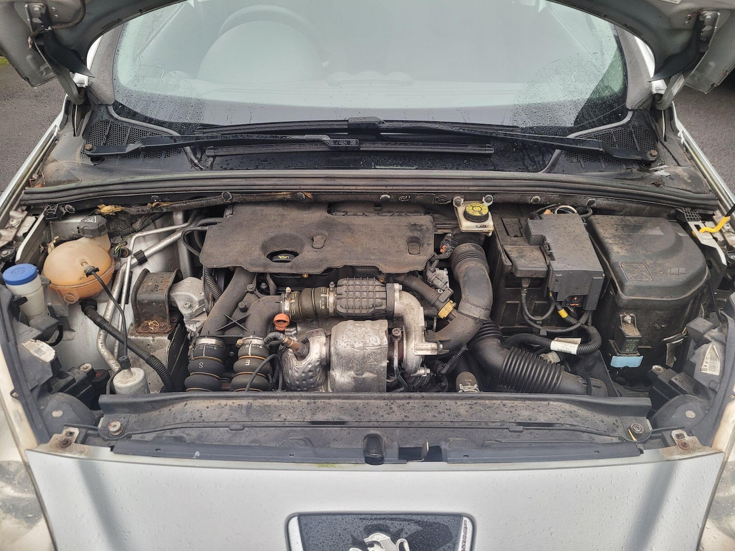 Used Peugeot 308 2012 for sale - 77321047: Photo 41