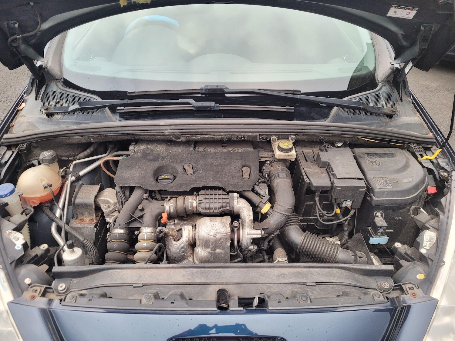 Used Peugeot 308 2011 for sale - 76942580: Photo 38