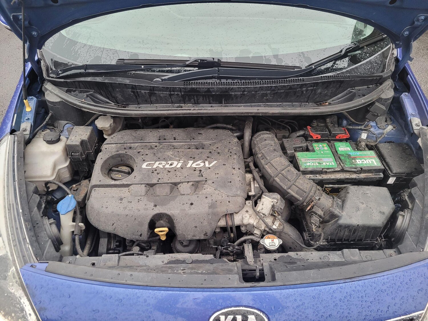 Used Kia Rio 2014 for sale - 77467889: Photo 43