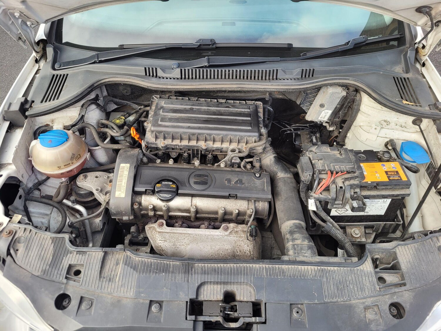 Used SEAT Ibiza 2010 for sale - 76349635: Photo 43