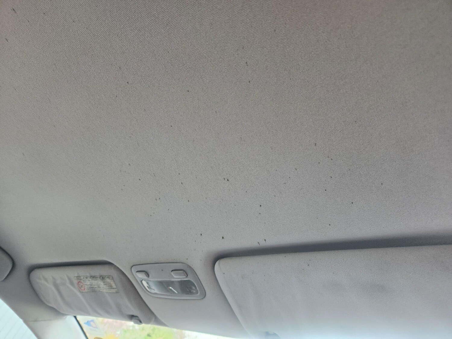 Used Toyota Corolla for sale - 78115218: Photo 19