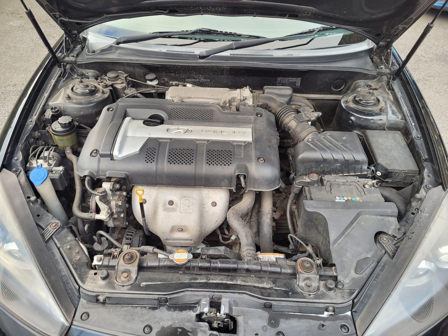 Used Hyundai Coupe 2007 for sale - 77057216: Photo 45