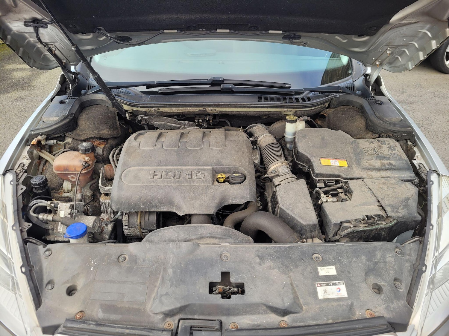 Used Peugeot 508 2012 for sale - 77670586: Photo 49