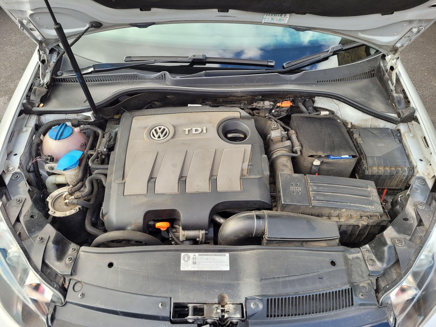 Vehicle 44
