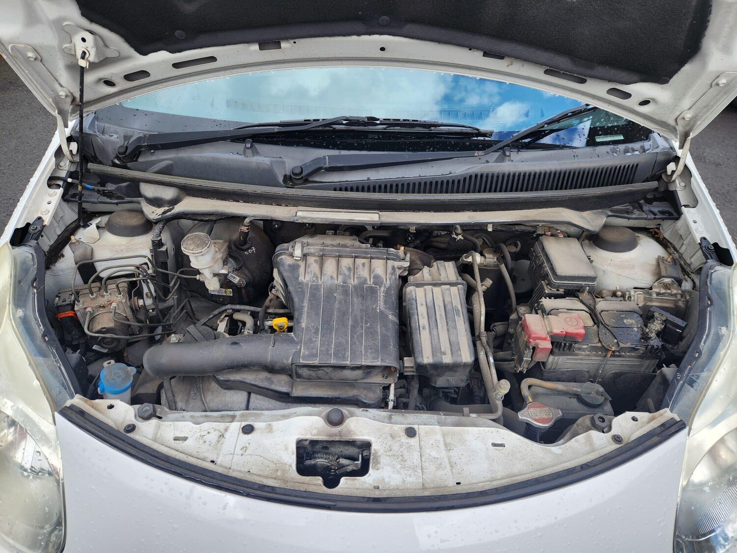 Used Suzuki Alto for sale - 78214537: Photo 35