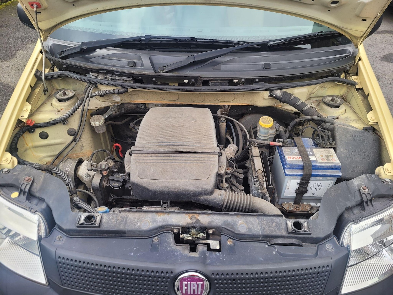 Used Fiat Panda 2008 for sale - 77709993: Photo 36