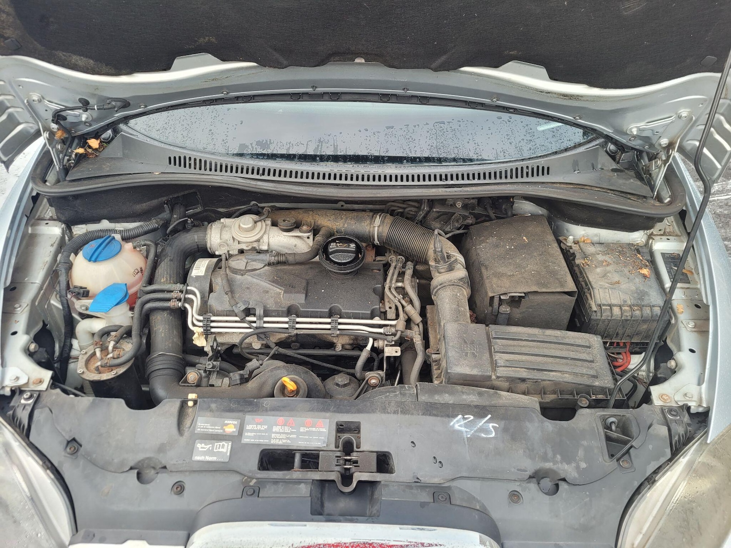 Used SEAT Altea XL 2008 for sale - 77119750: Photo 41