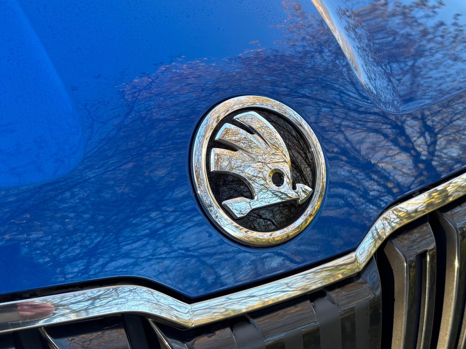 Used Skoda Karoq 2020 for sale - 76865719: Photo 20