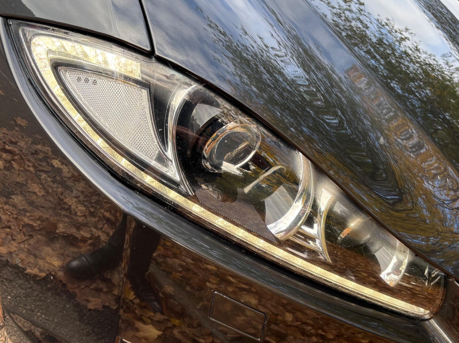 Used Jaguar XF 2014 for sale - 76377670: Photo 16