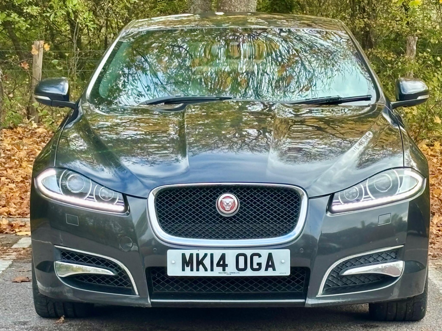 Used Jaguar XF 2014 for sale - 76377670: Photo 19
