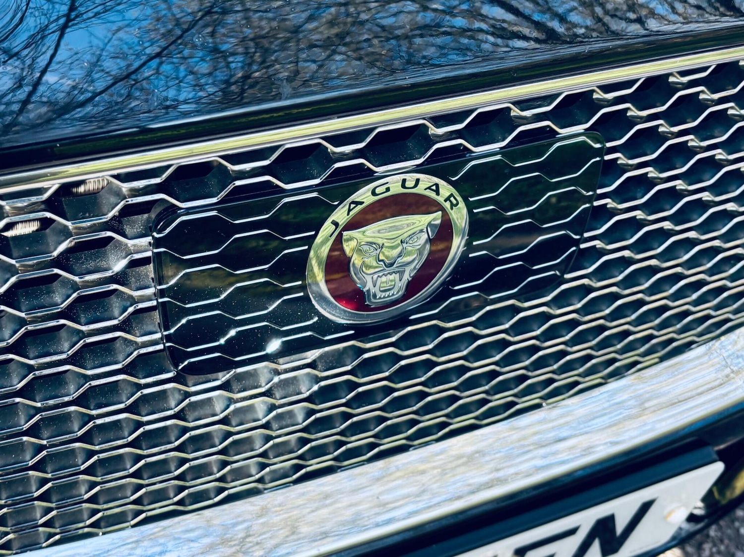 Used Jaguar XF 2017 for sale - 77977900: Photo 23