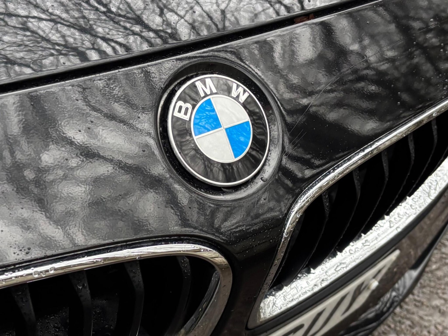 Used BMW 4 Series 2016 for sale - 77468657: Photo 23