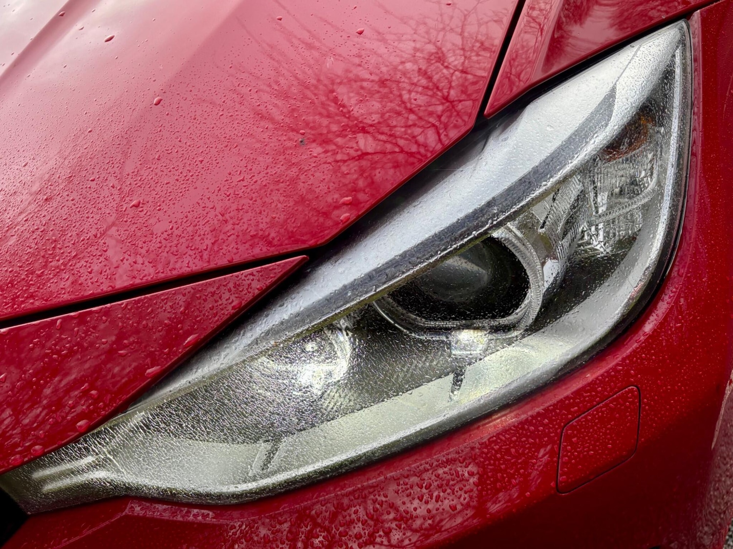 Used BMW 3 Series 2014 for sale - 77633926: Photo 25