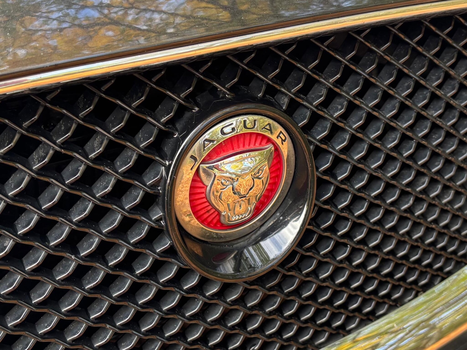 Used Jaguar XF 2014 for sale - 76531632: Photo 18