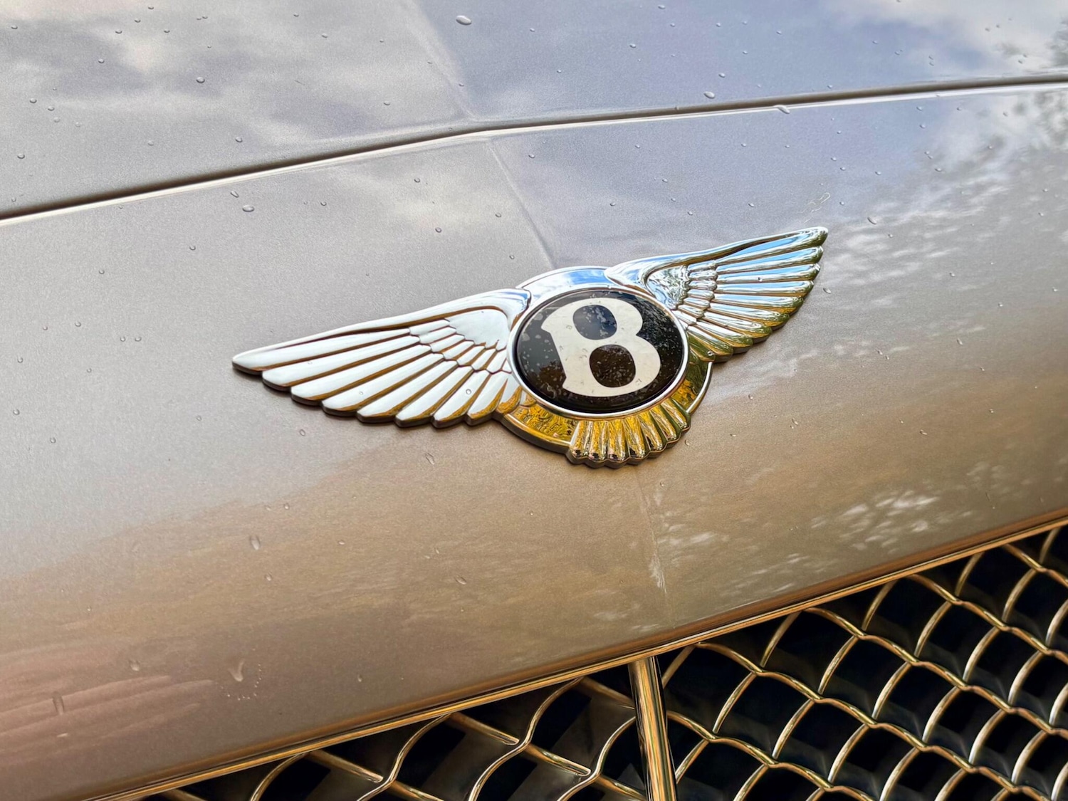 Used Bentley Continental 2006 for sale - 76337299: Photo 23