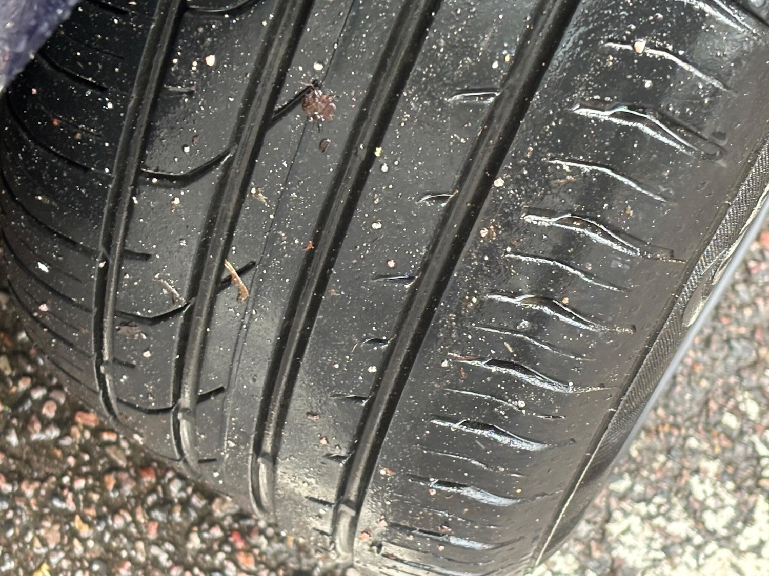 Used Volkswagen Sharan 2017 for sale - 77290966: Photo 55