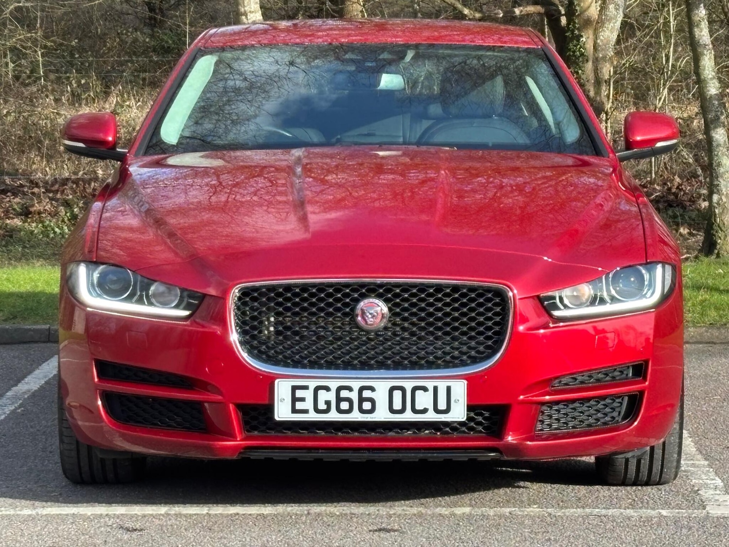 Used Jaguar XE 2017 for sale - 77559659: Photo 21