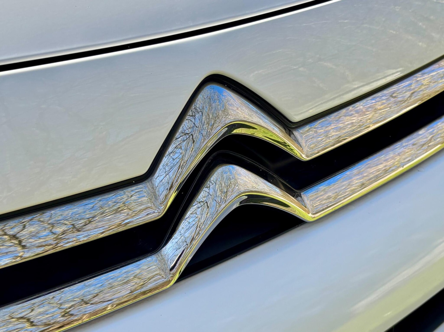 Used Citroen Berlingo for sale - 77925868: Photo 20