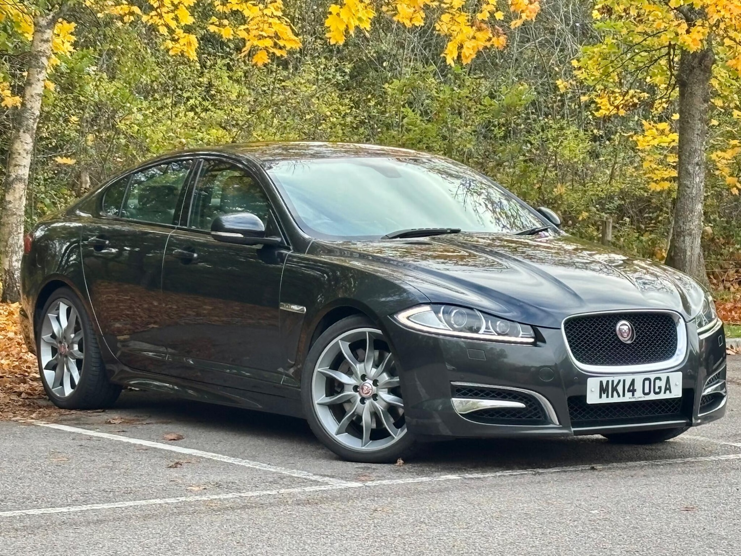 Used Jaguar XF 2014 for sale - 76996465: Photo 57