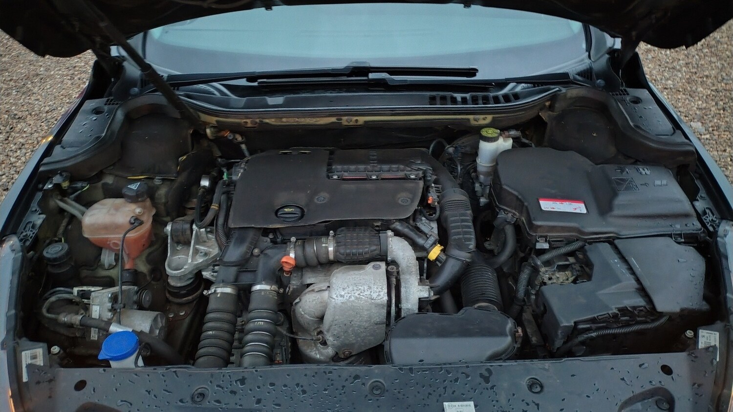 Used Peugeot 508 2015 for sale - 77337271: Photo 28