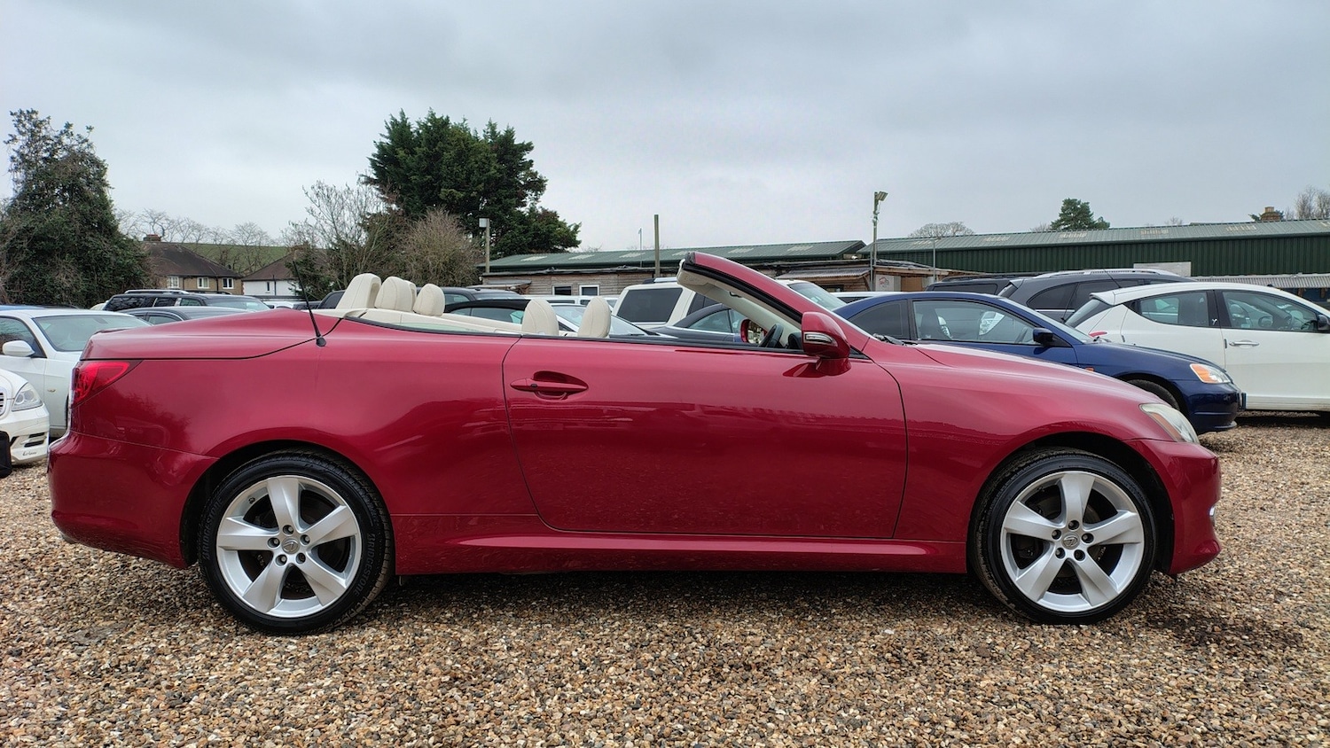 Used Lexus IS 2010 for sale - 77337048: Photo 8