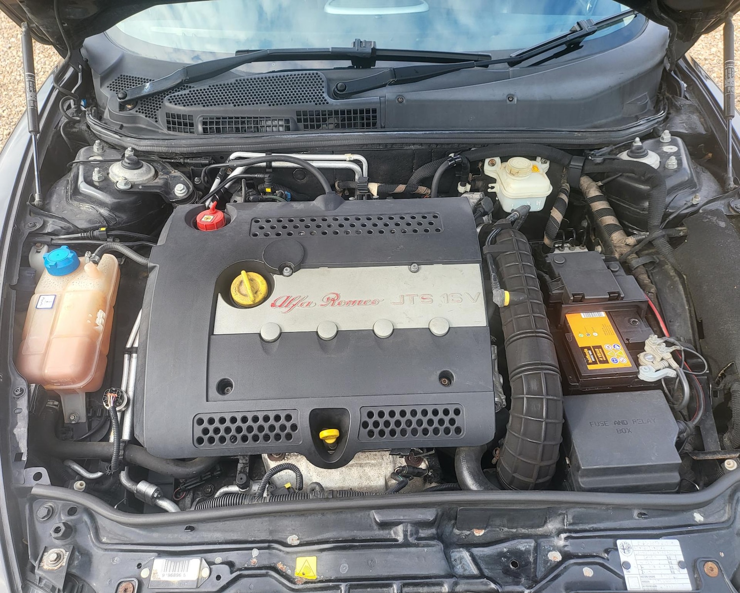 Used Alfa Romeo GT 2007 for sale - 67351932: Photo 27