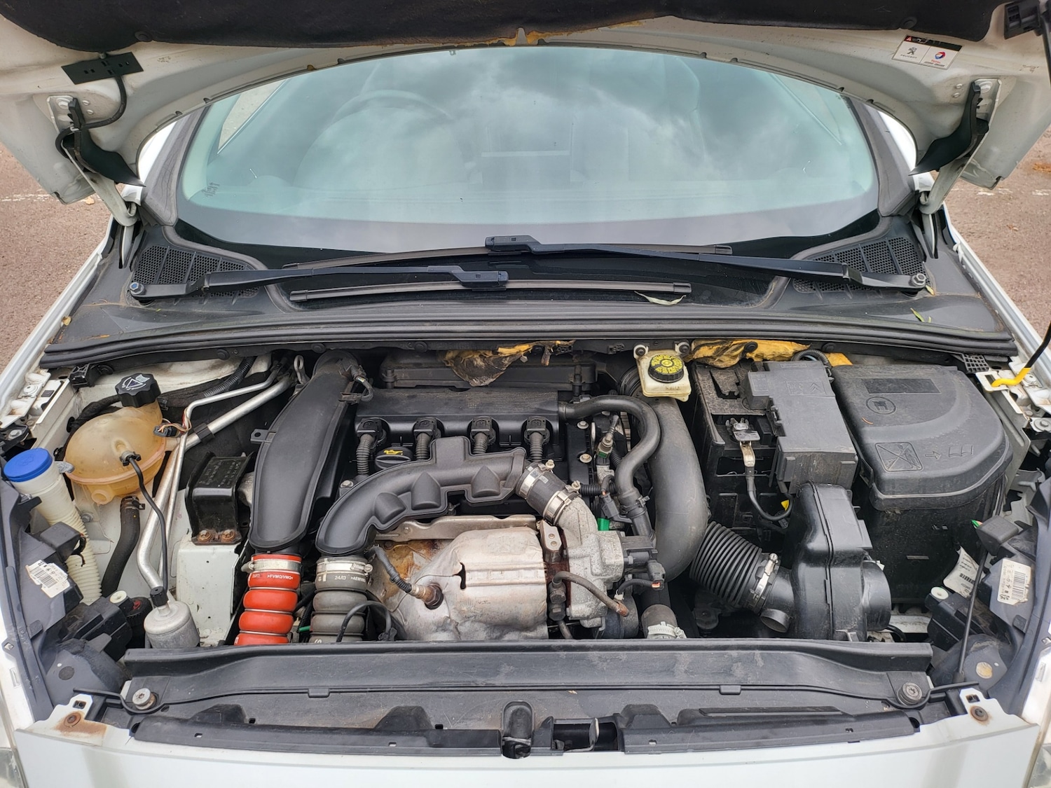 Vehicle 31