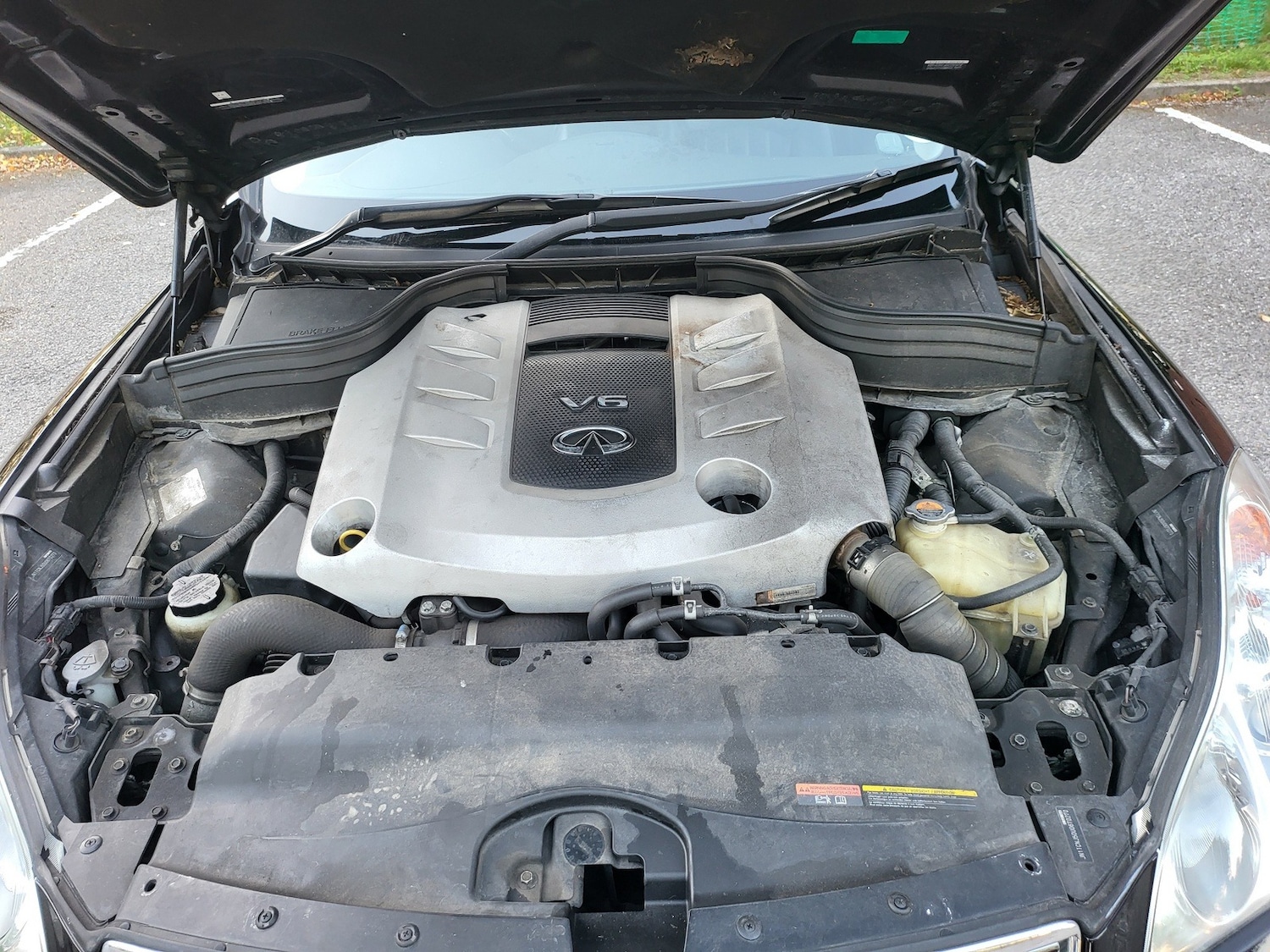 Vehicle 31
