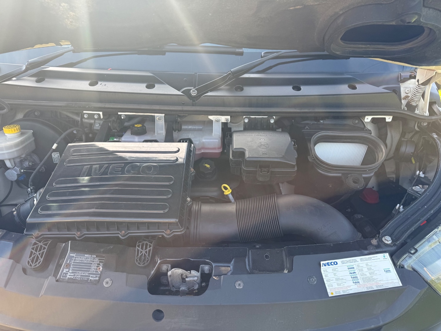 Used Iveco Daily 2019 for sale - 77720902: Photo 16