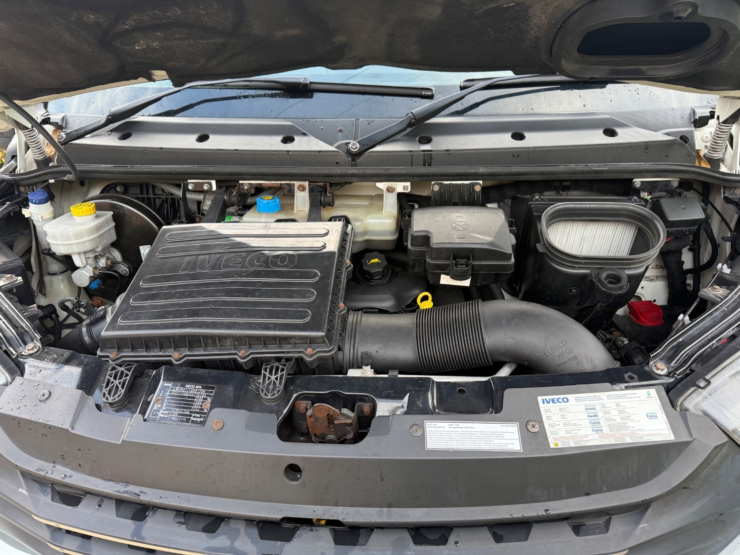 Used Iveco Daily 2019 for sale - 76568219: Photo 16